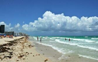 Miami Beach Wallpaper