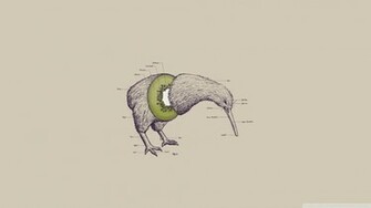 Kiwi Bird Wallpaper