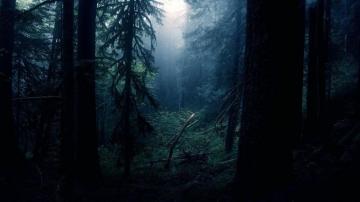 Chill Wallpaper That Don T Hurt Your Eyes At Night