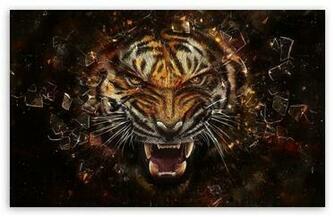 Tiger Background HD Desktop Wallpaper Widescreen High Definition