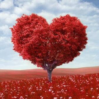 Valentines Day iPad Air Wallpaper