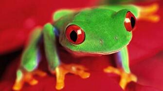 HD Green Frog Desktop Background Pixel Animal Wallpaper