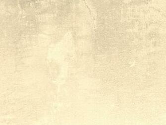 Findgraphics Wallpaper Background Cream Htm