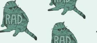 Related Pictures Cat Background Background