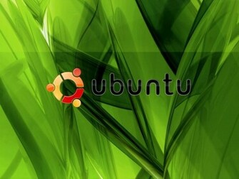 Best Ubuntu Dragon Wallpaper All About World Tattoo