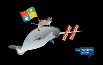 Que Todo Esto Sirva Para Recibir A Windows Con M S Alegr