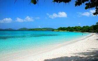 Caneel Bay Wallpaper Beach