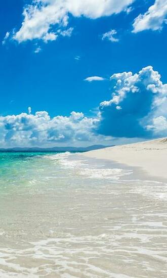 Amzazing S Of Summer Season HD Wallpaper Apk