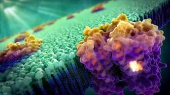 Cell Biology Wallpaper