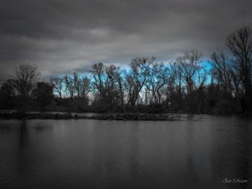 Wallpaper Trees Natural Color Nature Cloudy Sky Moody