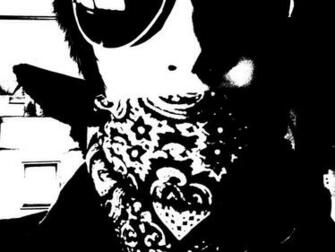 Black Bandana Wallpaper I Have A Bro By