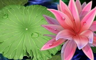 White Pink Lily Wallpaper