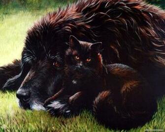 By Jane Maday Wallpaper