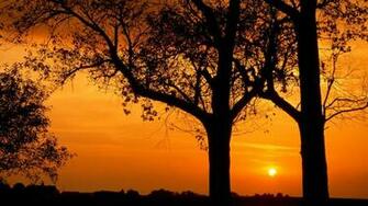 Nature Illinois Sunset Cool Image Trees Stars Background