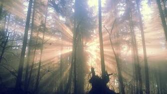 Trail Up To Spencers Butte Eugene Oregon HD Wallpaper