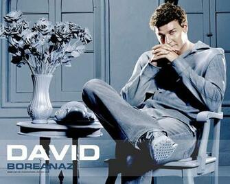 David Boreanaz Wallpaper