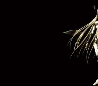 Claymore Galatea Wallpaper Knowledge HD