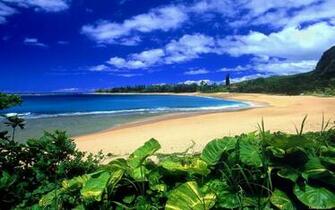 Hawaii Beach Hotels Beaches Pictures