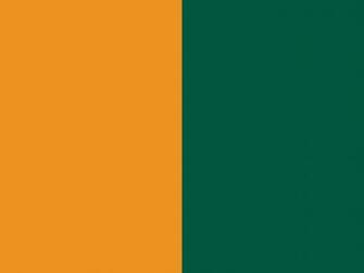 Carrot Orange And Castleton Green Two Color Background