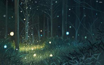 Night Forest Wallpaper On