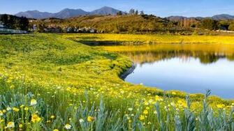 Summer Lake