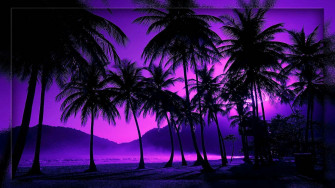 Tropical Night Sky Wallpaper On
