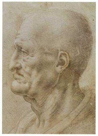 Leonardo Da Vinci HD Wallpaper Color Palette Tags