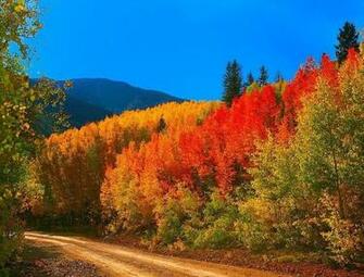 Country Backroad Wallpaper Colorado Fall Colors