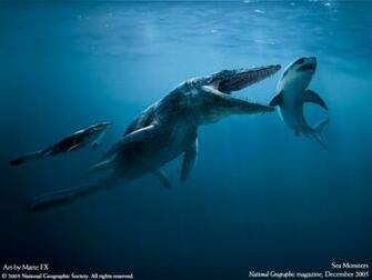Unique Wallpaper Most Famous National Geographic HD