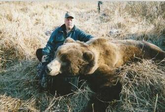 Match Kodiak Bear Pictures Siberian Tiger