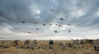 Duck Hunting Wallpaper Coolstyle