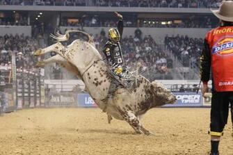 Bull Riding Bullrider Rodeo Western Cowboy Extreme Cow Wallpaper