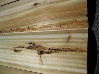 Split Log Siding Image Search Results
