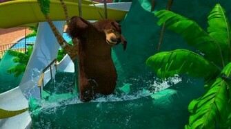 Animation Movie Geek Open Season Wallpaper