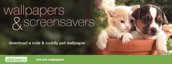 Wallpaper Screensavers At American Greetings