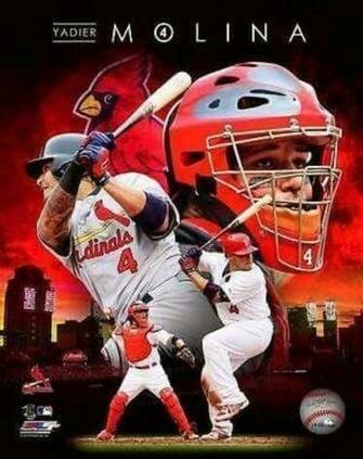 Cimdy Gardner On Cardinals Yadier Molina St Louis