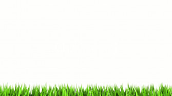 New Plain White HD Background Full For Pc Desktop Wallpaper