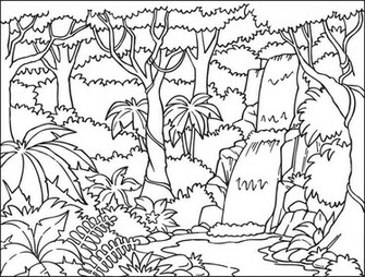 Rainforest Coloring S Color Jungle Book Wallpaper More