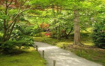 Japanese Garden Art Prints Wall And Posters Murals Buy A