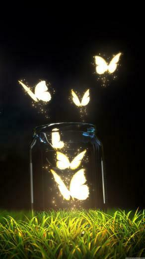 Fantasy Butterfly Jar Android Wallpaper Phone Background Art