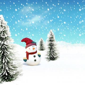 iPad Wallpaper Christmas Scenery Mini