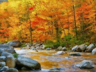 Nature World Wallpaper New Santa Banta
