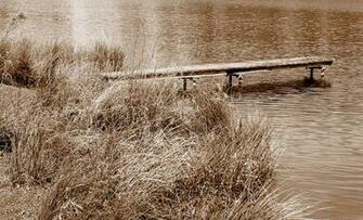 Wheres My Fishing Rod Wallpaper