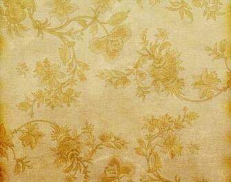 Charlotte Perkins Gilman And The Yellow Wall Paper Bed Mattress Sale