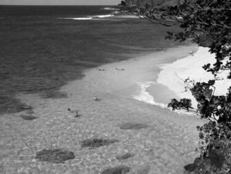 Black And White Wallpaper Beach Landscape HD