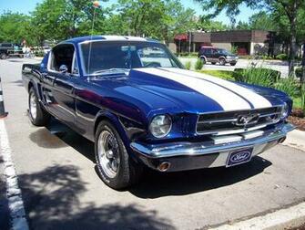 Mustang By Detroitdemigod