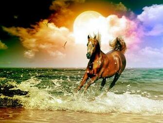 Running Horse Pictures Wallpaper