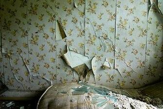 Torn Wallpaper By Rob Dobi