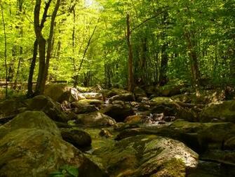 Hiking Nature The Cascades Trail Other HD Desktop Wallpaper