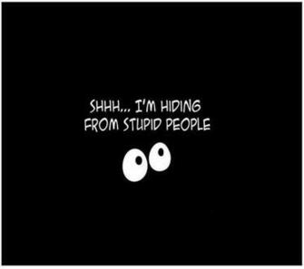 Shhh I M Hiding From Stupid People